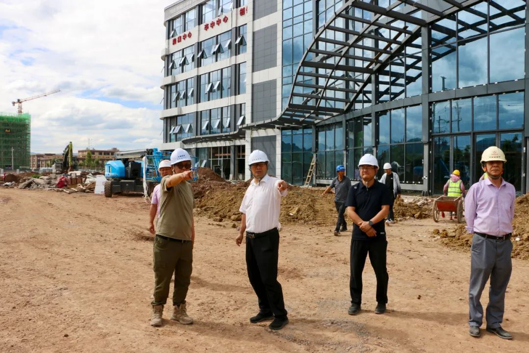 王丽平调研重点项目建设情况