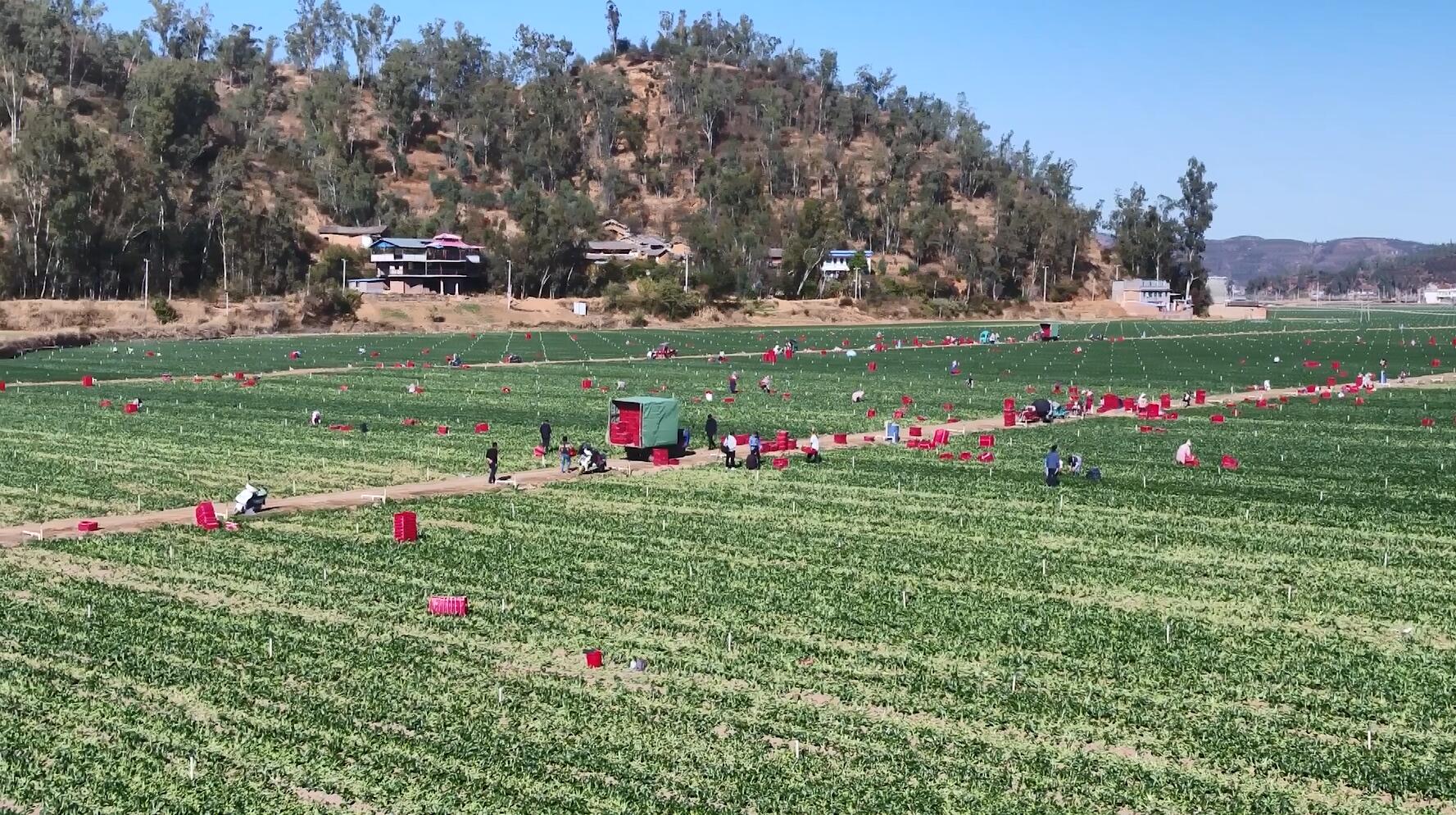 复制图片 复制图片