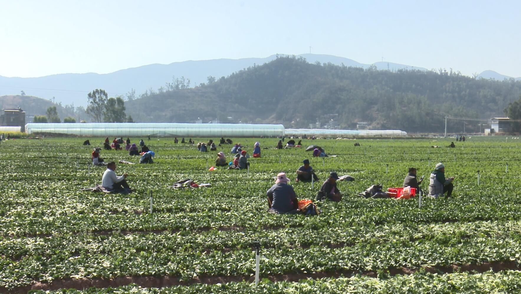 QQ截图20230309173420.jpg QQ截图20230309173420.jpg