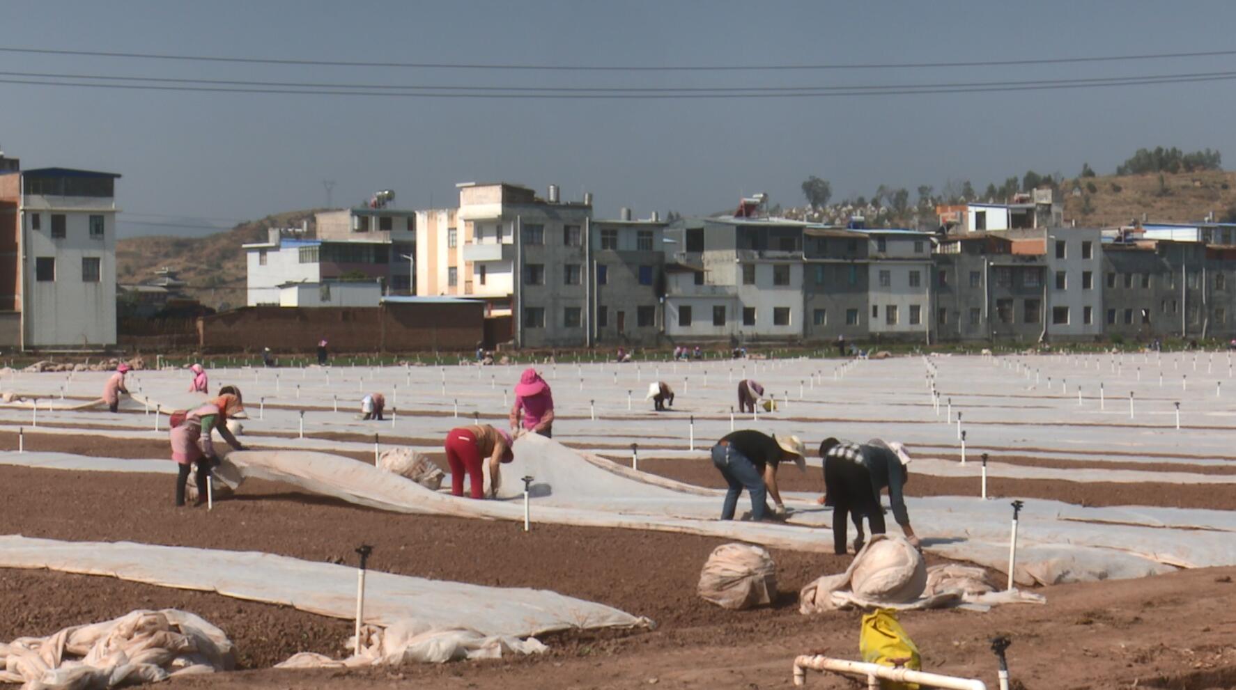 QQ截图20230309173457.jpg QQ截图20230309173457.jpg