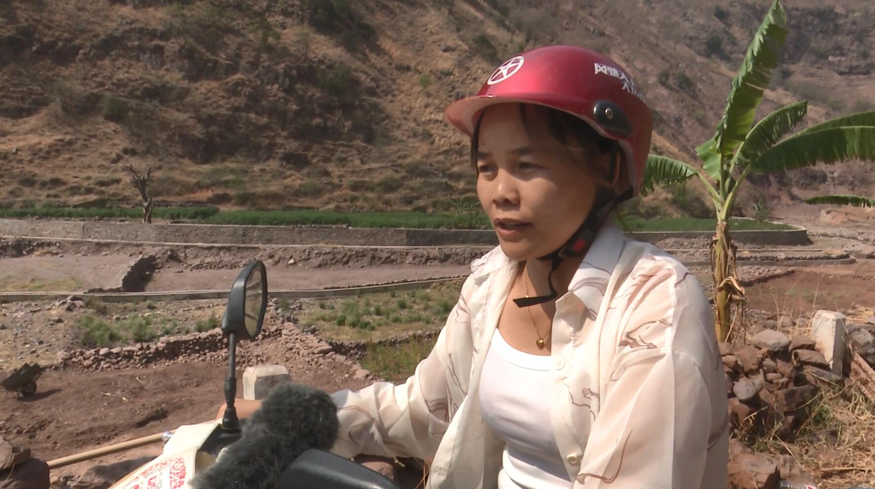 杨静.jpg 杨静.jpg