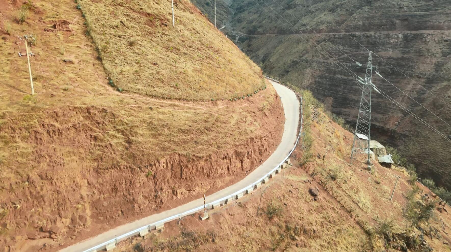 复制图片 复制图片