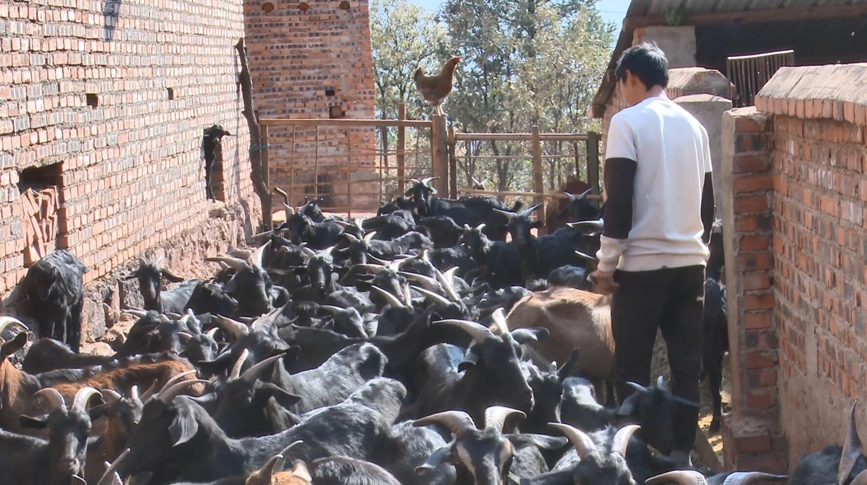 QQ截图20230322160821.jpg QQ截图20230322160821.jpg