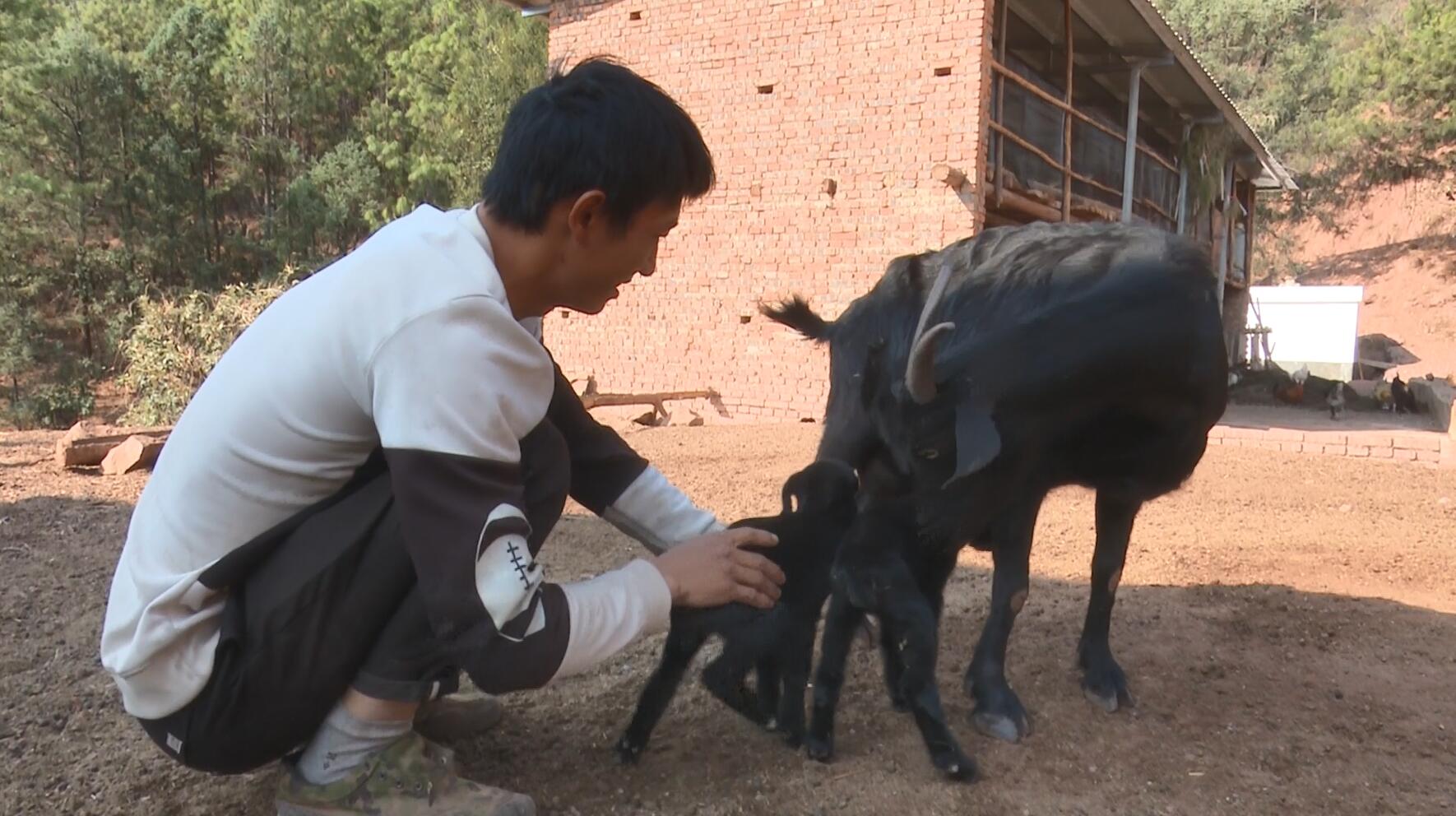 QQ截图20230322160800.jpg QQ截图20230322160800.jpg