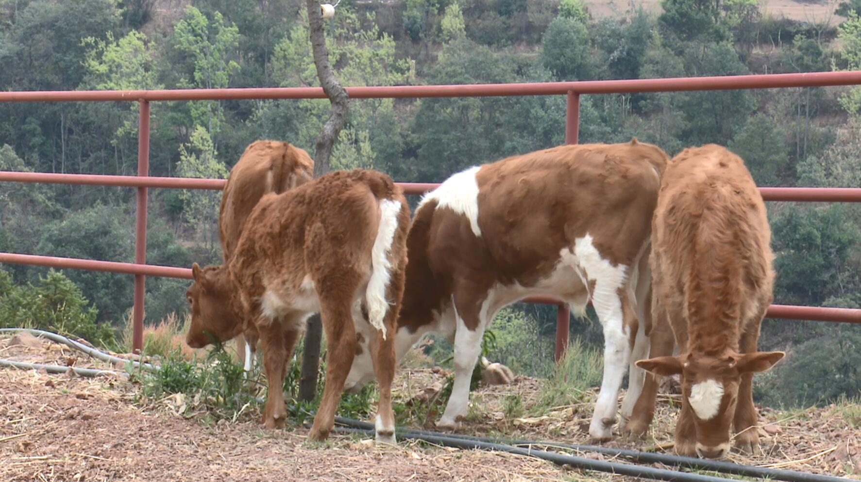 QQ截图20230322161809.jpg QQ截图20230322161809.jpg