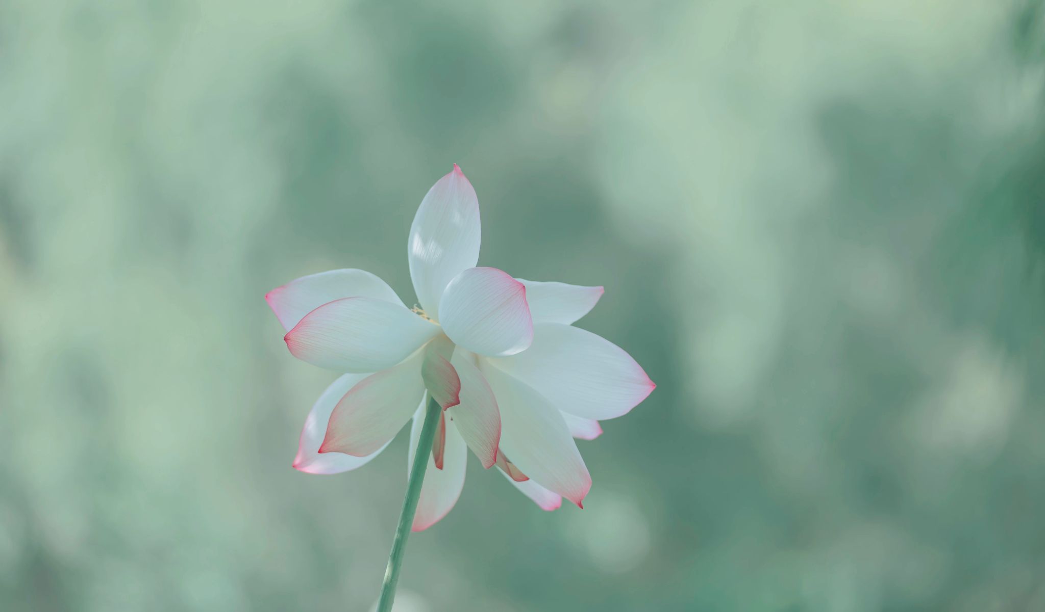 undefined undefined