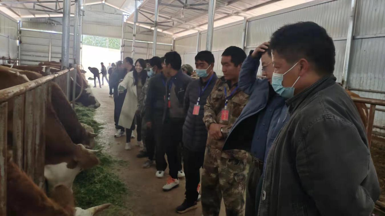 复制图片 复制图片