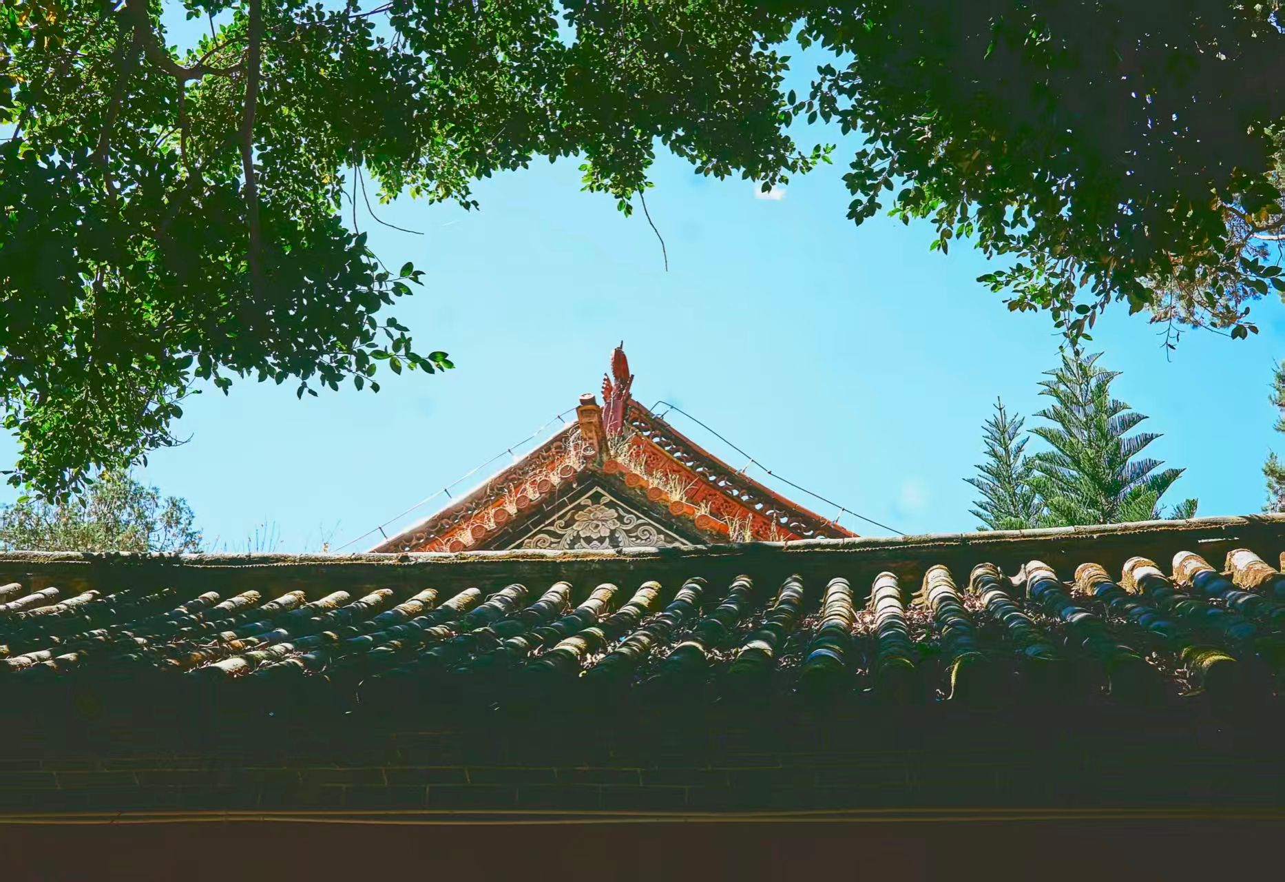 undefined undefined