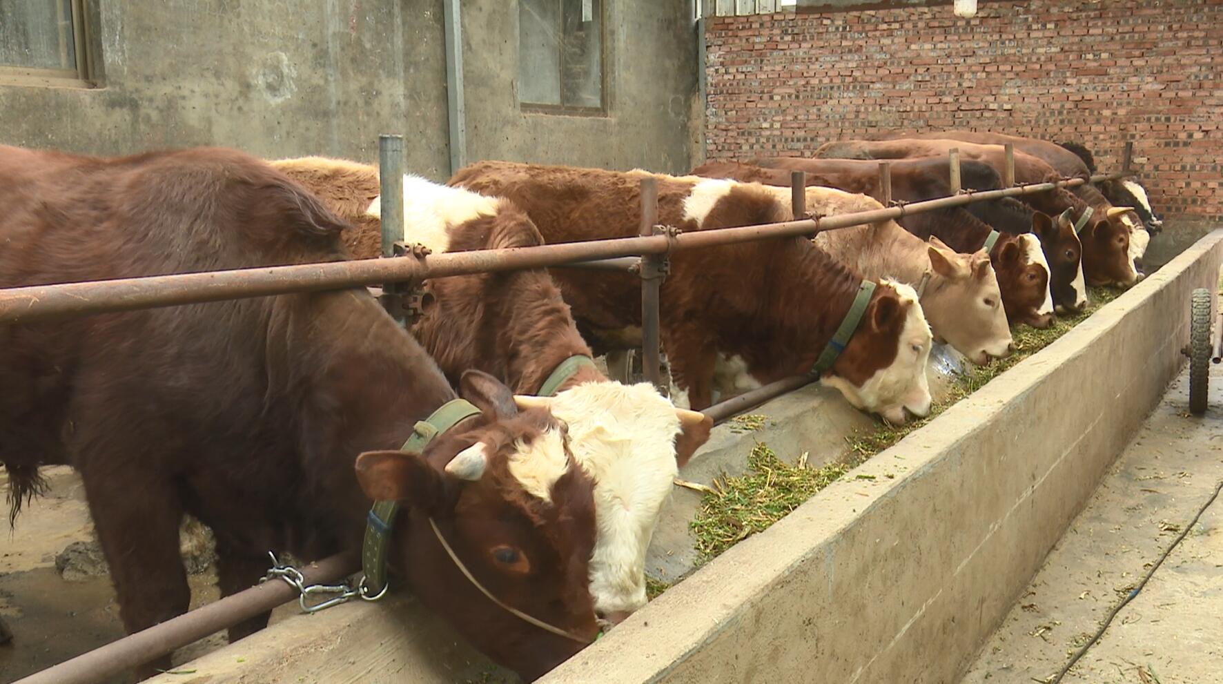 QQ截图20230322161638.jpg QQ截图20230322161638.jpg