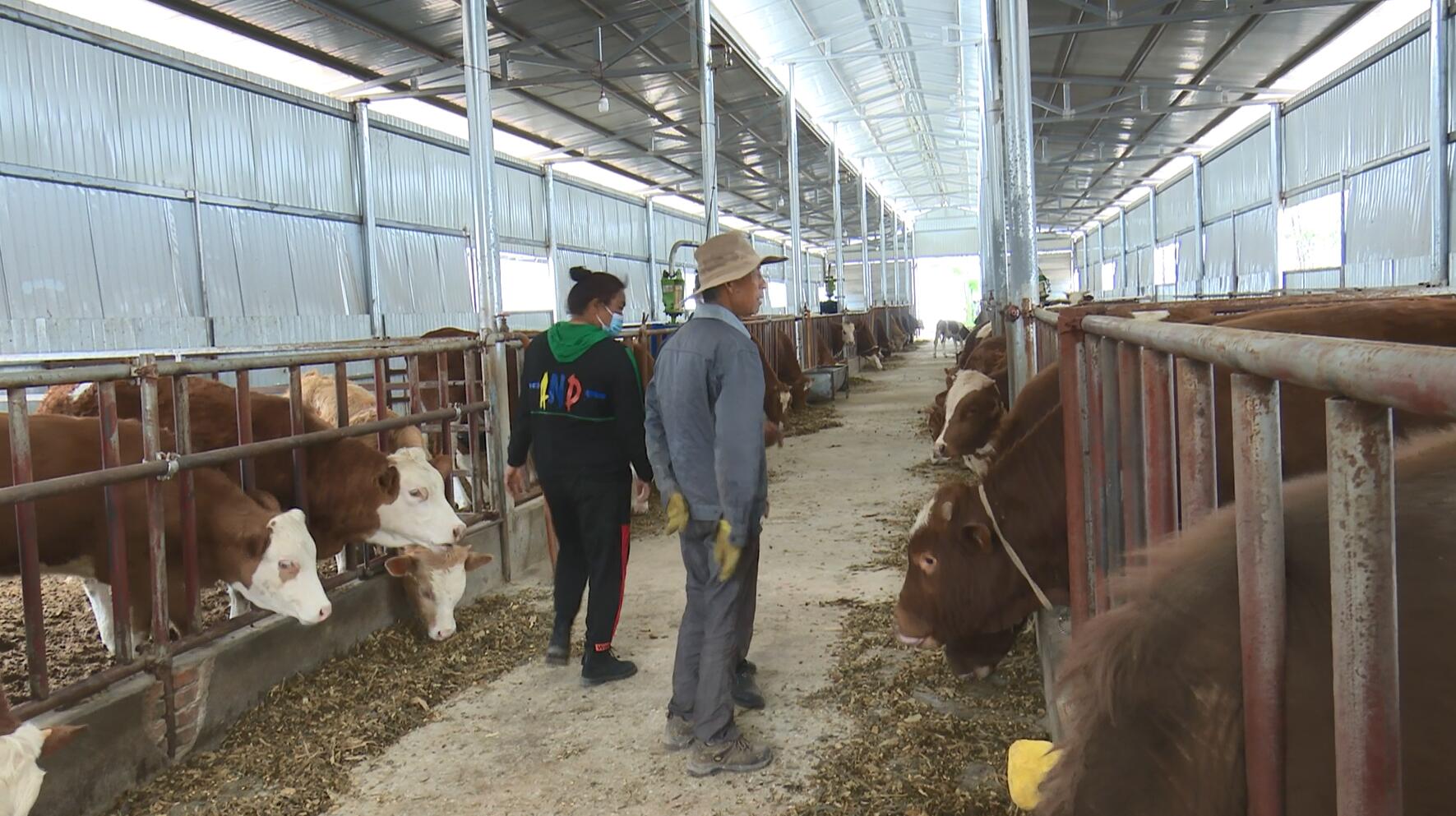 QQ截图20230322161750.jpg QQ截图20230322161750.jpg