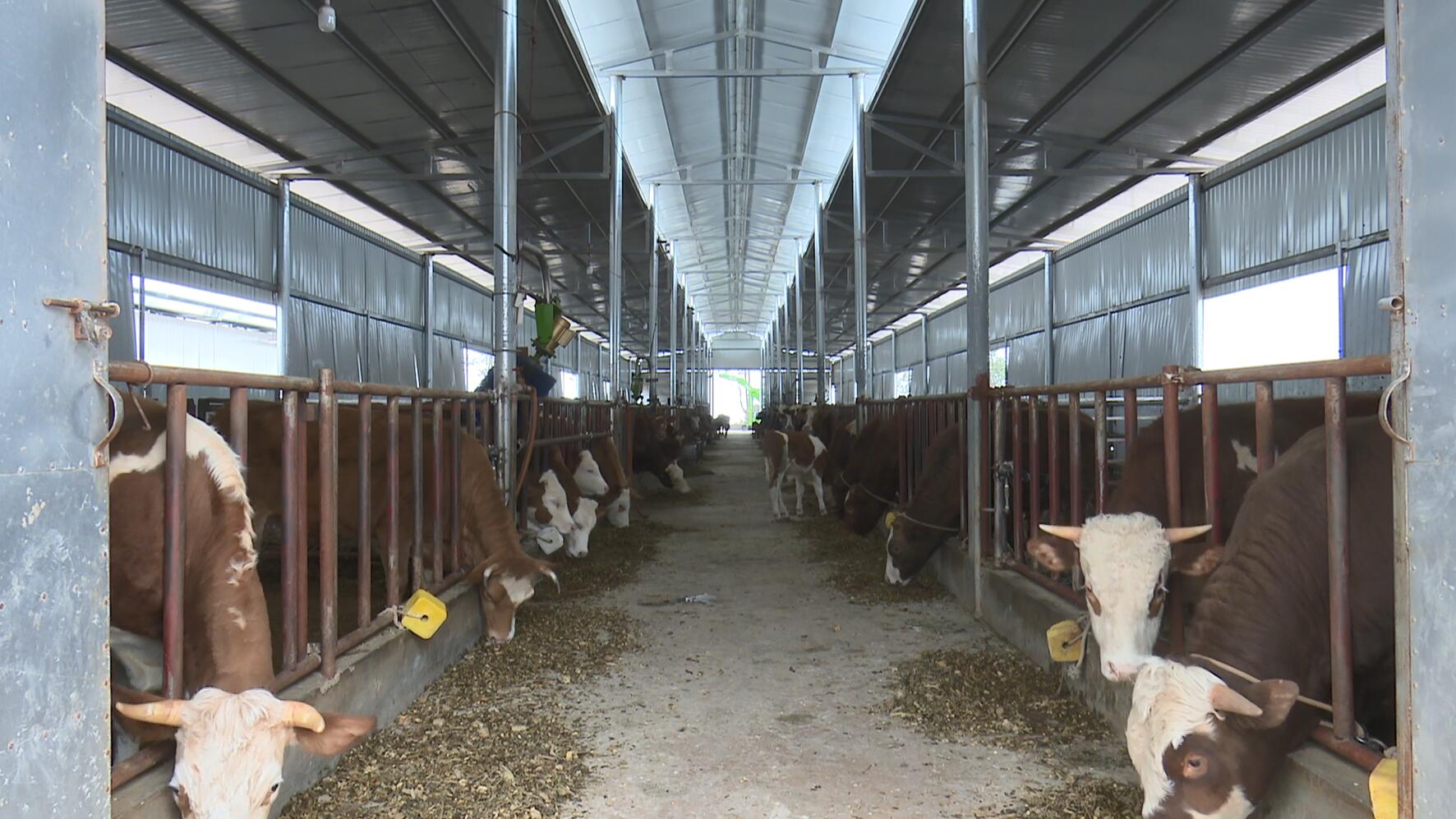 QQ截图20230322161728.jpg QQ截图20230322161728.jpg