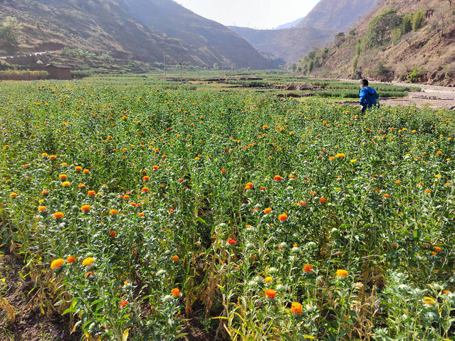 图片5.png 图片5.png