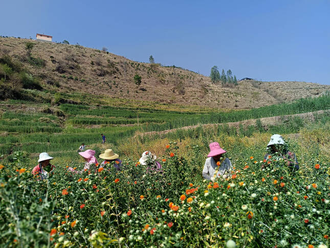 图片4.png 图片4.png